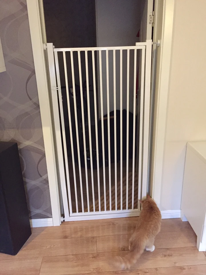 cat door fence