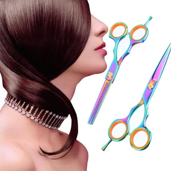 

5.5 Inch Stainless Steel Scissors Hair Professional Thinning Shears Barber Salon Hairdressing Shears Cutting Styling Tools 1Set