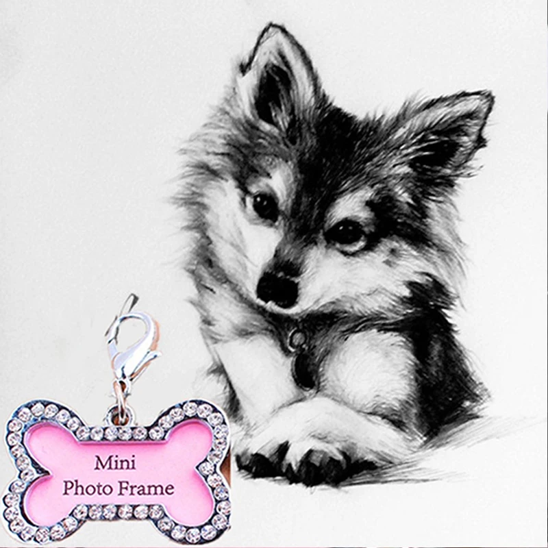 Durable Bone Shape Pets ID Name Tag Address Pendant Dog Puppy Collar Anti-Lost Card Habitat Decor Dog Tag Habitat Décor