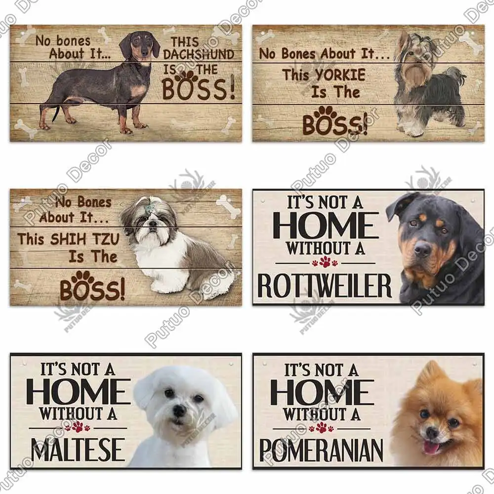 H717f092fb15a4bd4b0a08c0ac83eca33d.jpg?width=1000&height=1000&hash=2000