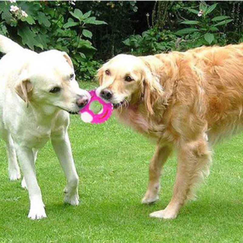 Creative Pet Dog Toy Shape Toys Molar Puppy Bite Resistance Durable Teeth Cleaning Massage Supplies | Дом и сад