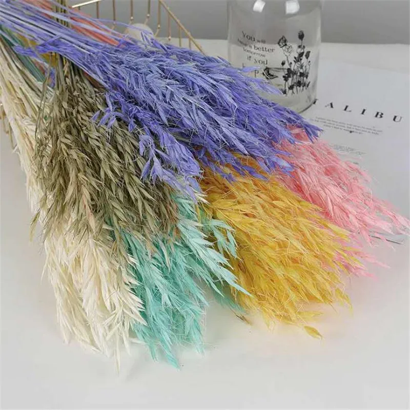 QQ截图20200425205732