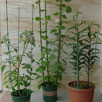 

Climbing Plant Support Stand Cage Garden Flowers Home Reliable Practical