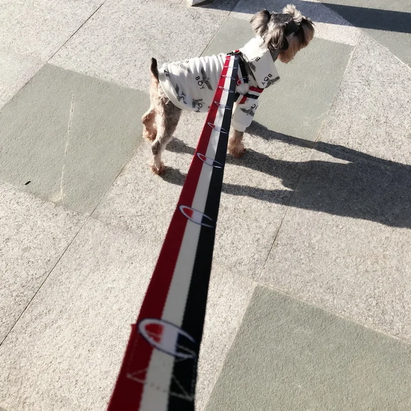 webwxgetmsgimg (10)_