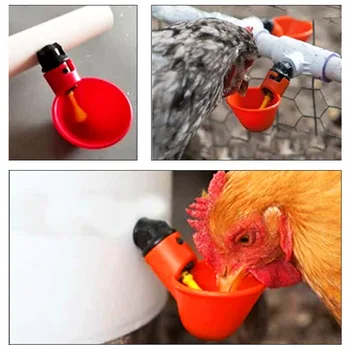 

Behogar 12pcs Chicken Water Drinking Cup Plastic Float Style Gravity Feed Drinking Bowls with 12pcs Screw for Chicken Duck Quail