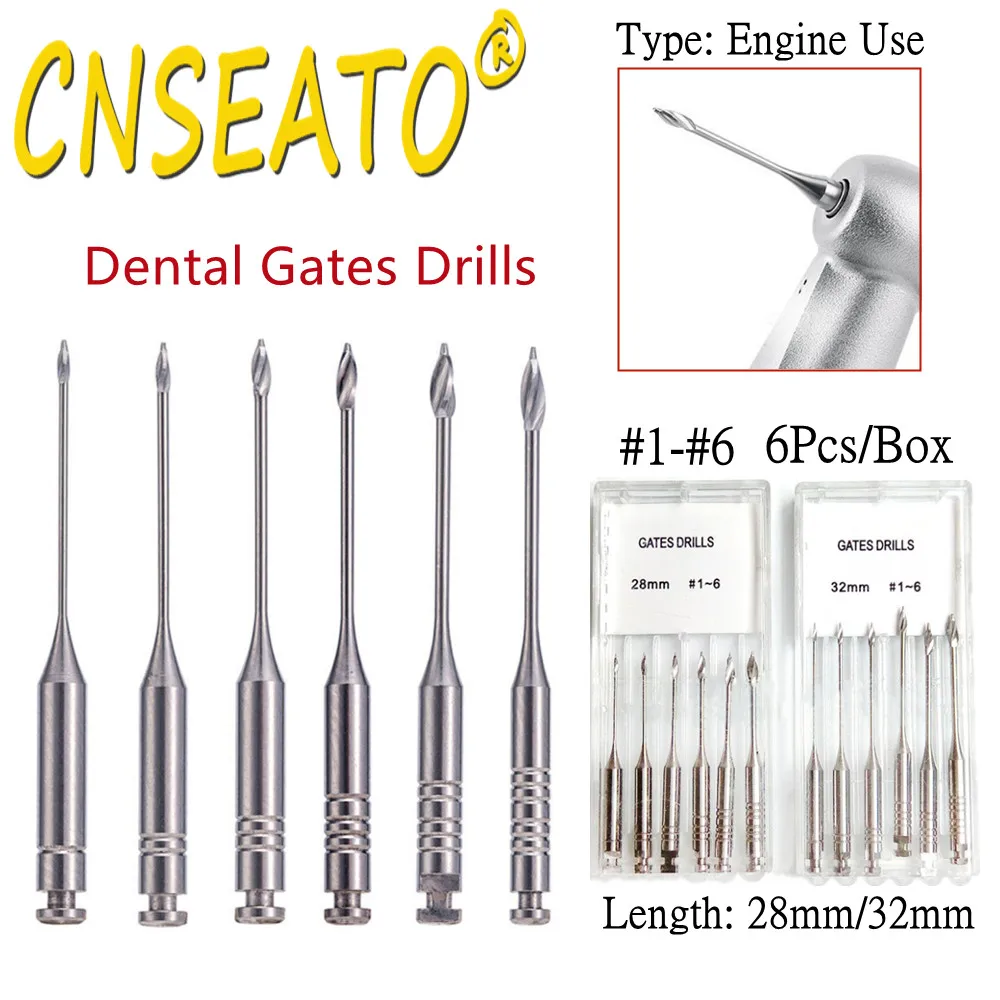 6pcs Dental Endodontic Gates Drills Files Stainless Steel Reamer