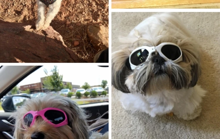 Pet Dog складные солнцезащитные очки для средних и больших собак очки большие очки для животных очки для собак товары для домашних животных товары для улицы