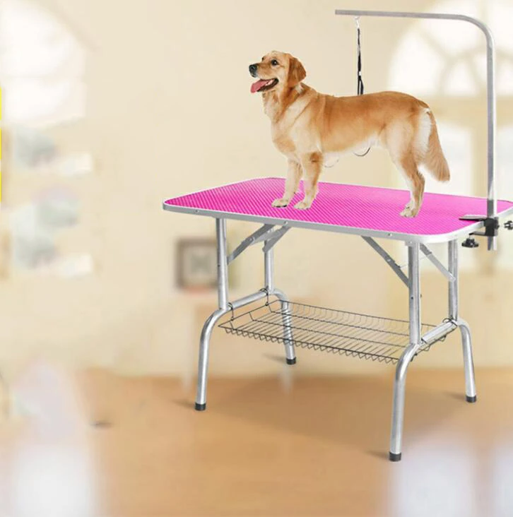 What Equipment Do I Need For Dog Grooming