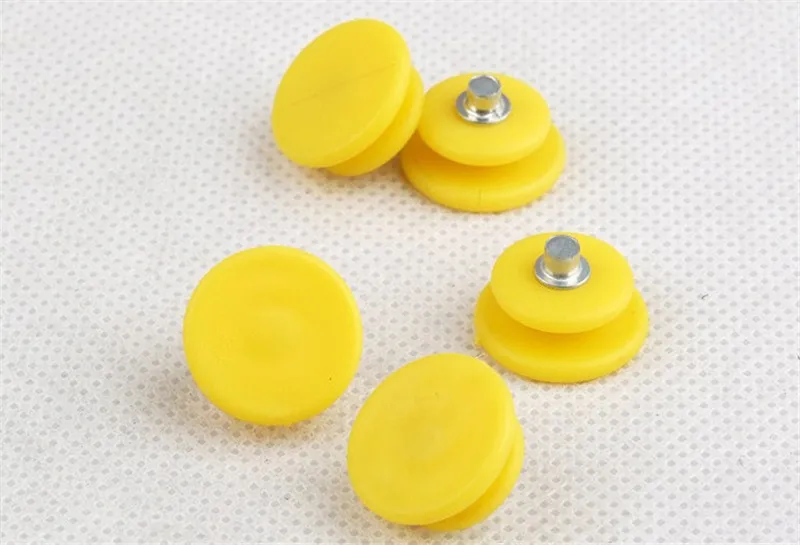 2624873944_298724132