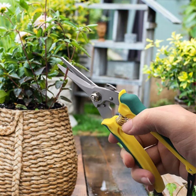 Description Picture 6 of itemProfessional Resistant Foot Rot Shears Sheep Horse Goat Hoof Shears Trimming Pruning Floral Florist Garden Sharp Scissors Jaws