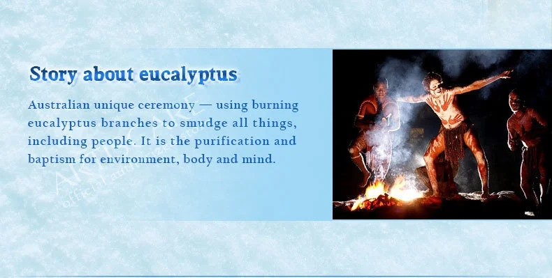 eucalyptus_07