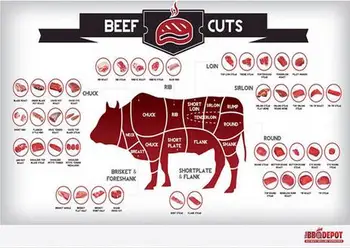

More style Cattle Butcher Chart Beef Cuts Animal Diagram Meat Art Film Print Silk Poster Home Wall Decor 24x36inch