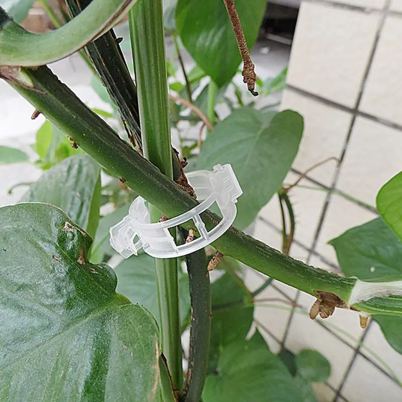 Support Clips For Garden Tomato Garden Vegetables Vine To Grow Upright And Makes Healthier Twine Clips