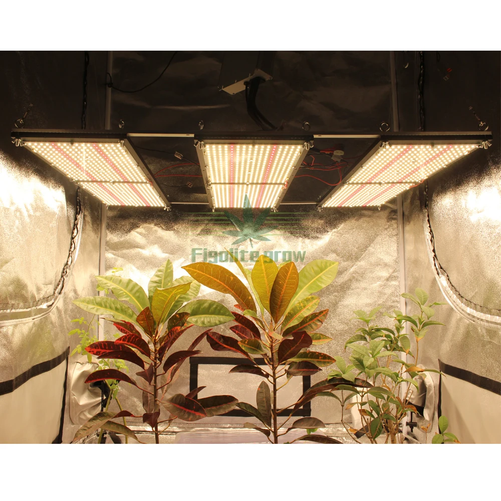 Рисунок 4 - 2020 новый высокий PPFD Lm301H