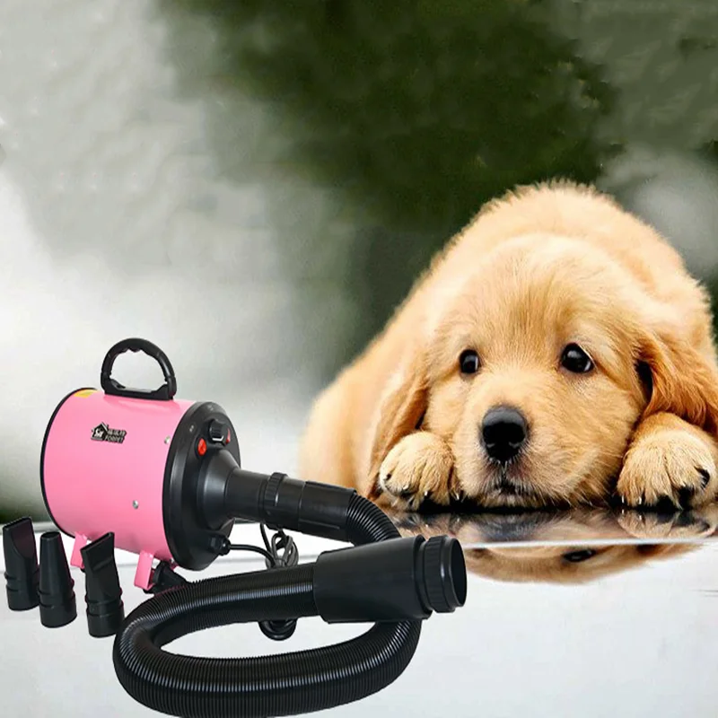 

Electric Hair Dryer Dog Professional Pet Water Blowing Machine Large Special Cat Supplies Drying Box Special Asciugatrice