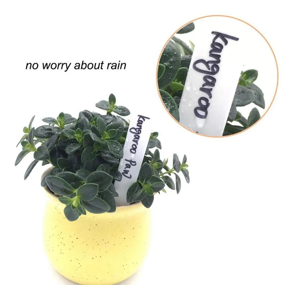 100Pcs White Plastic Plant Labels Waterproof Gardening Plant Classification Sorting Sign Tag Garden Supplies Flower Pot Decor