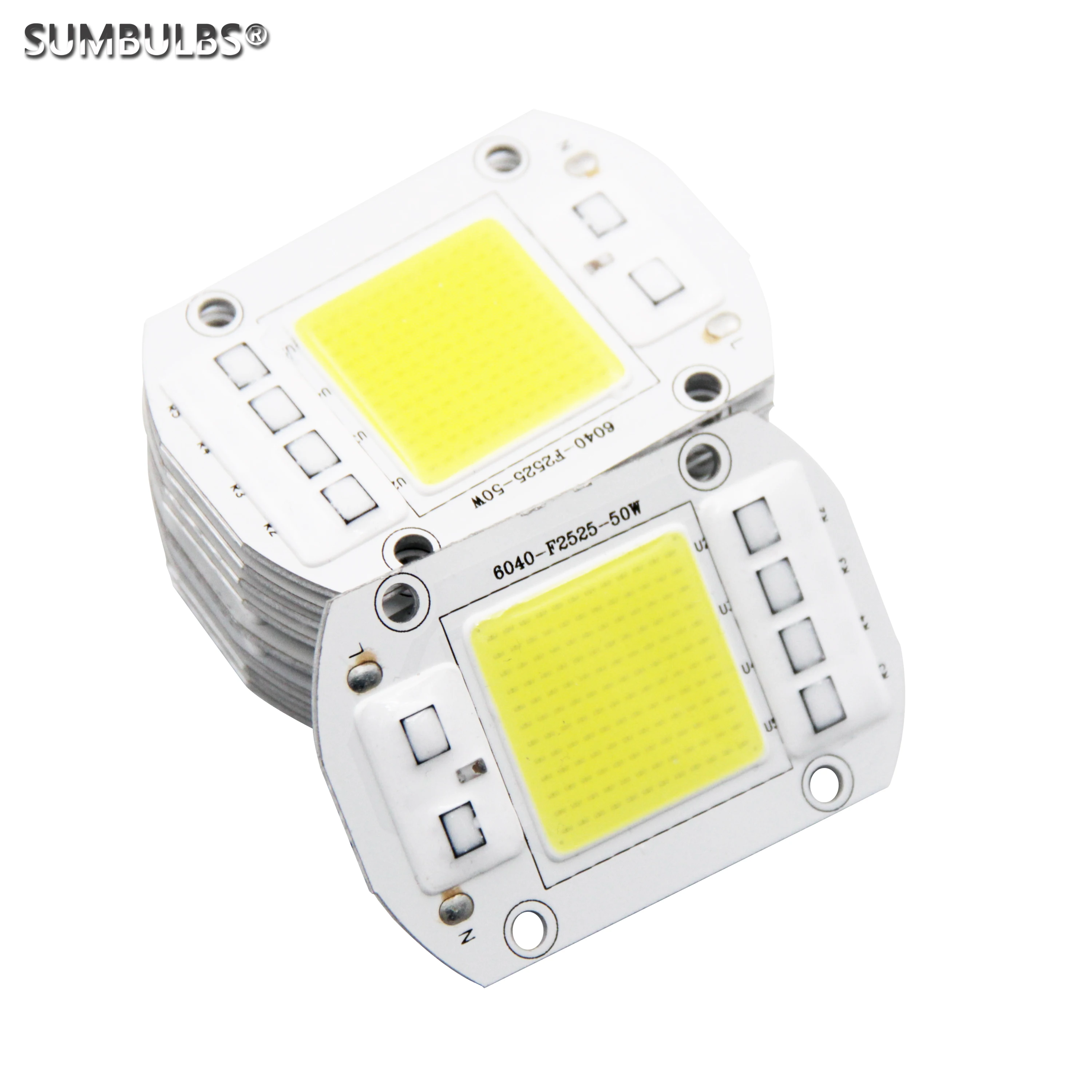 

LED COB Chip 20W 30W 50W AC 220V/110V Input Smart IC No Need Driver Bulb Lamp for Flood Light Spotlight Driverless Diy