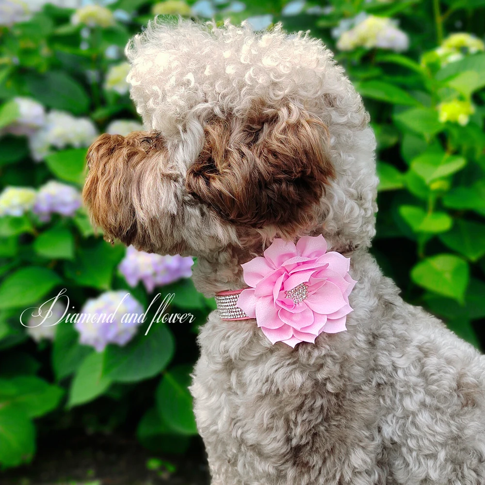 shock collar for small dogs Bling Rhinestone Dog Collar Glitter Rhinestone Puppy Cat Collars With Flower Fashion Crystal Dogs Cats Necklace For Chihuahua pink dog collar