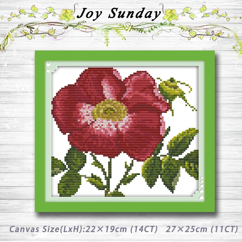 

Outshine others flowers Patterns Counted Cross Stitch dmc 11CT 14CT Cross Stitch Sets Handmade Embroidery Needlework Home decor