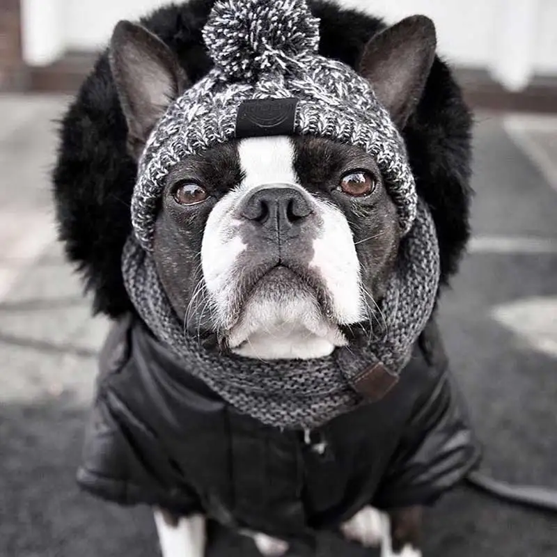 21233667503_368534779