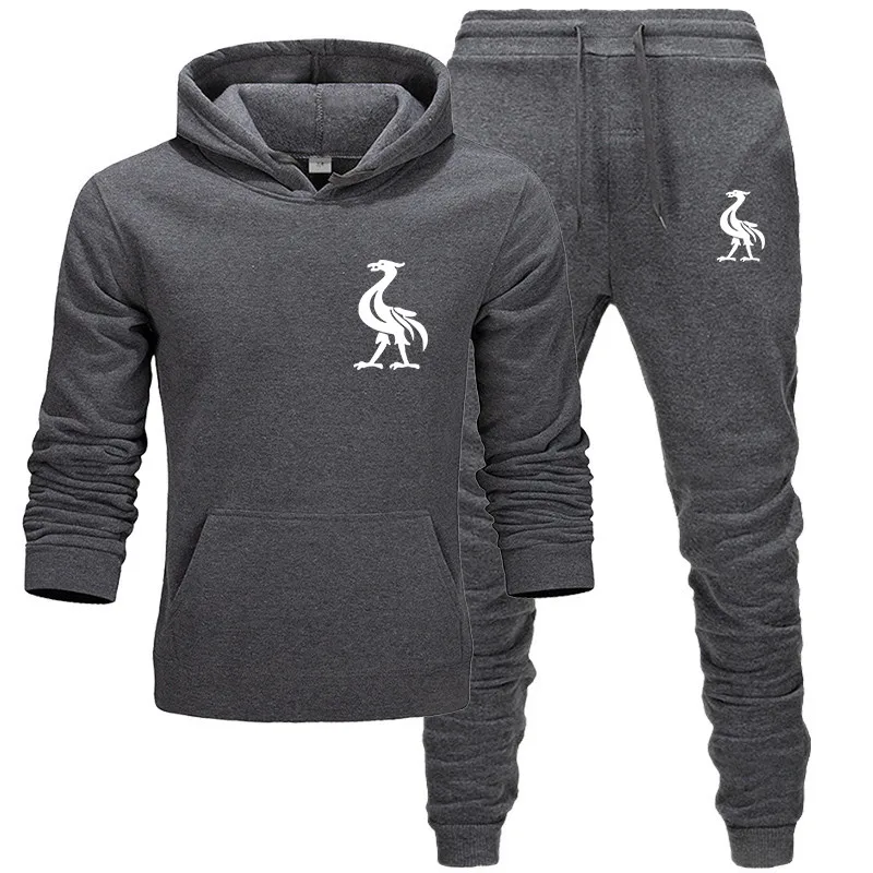 liverpool tracksuit grey