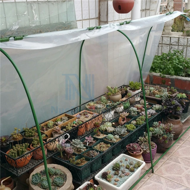 Sűrűsítse 0,08 Mm 1M Szélesség Pe Műanyag Esőálló Talajtakaró Üvegházhatású Fóliát Zamatos Növények Fedik Át Az Átlátszó Termikus Membránt - Image 5