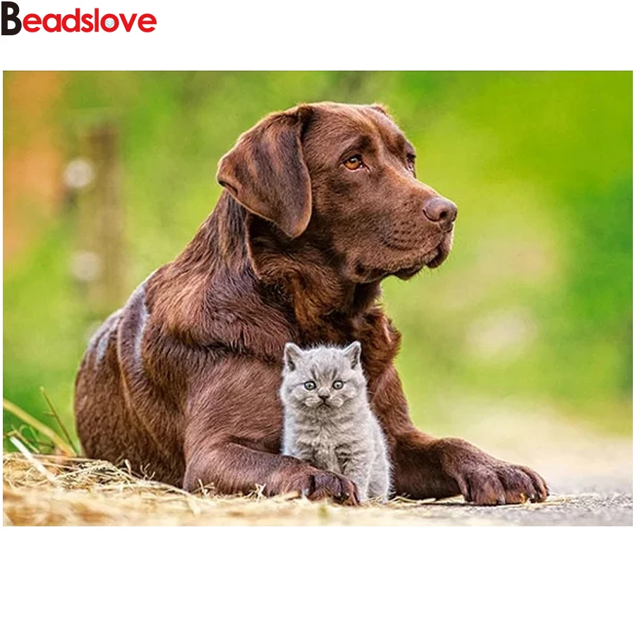 Пазлы котенок и щенок. Пазлы котенок и щенок. Пазл котенок на 200 деталей. Пазлы 500-1000 элементов. Локация с щенками puzzle adventure.