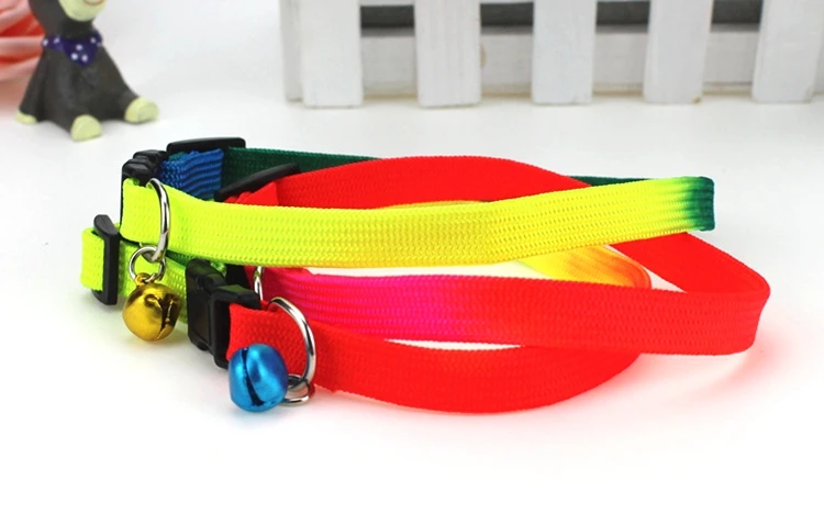 dog collars (9)