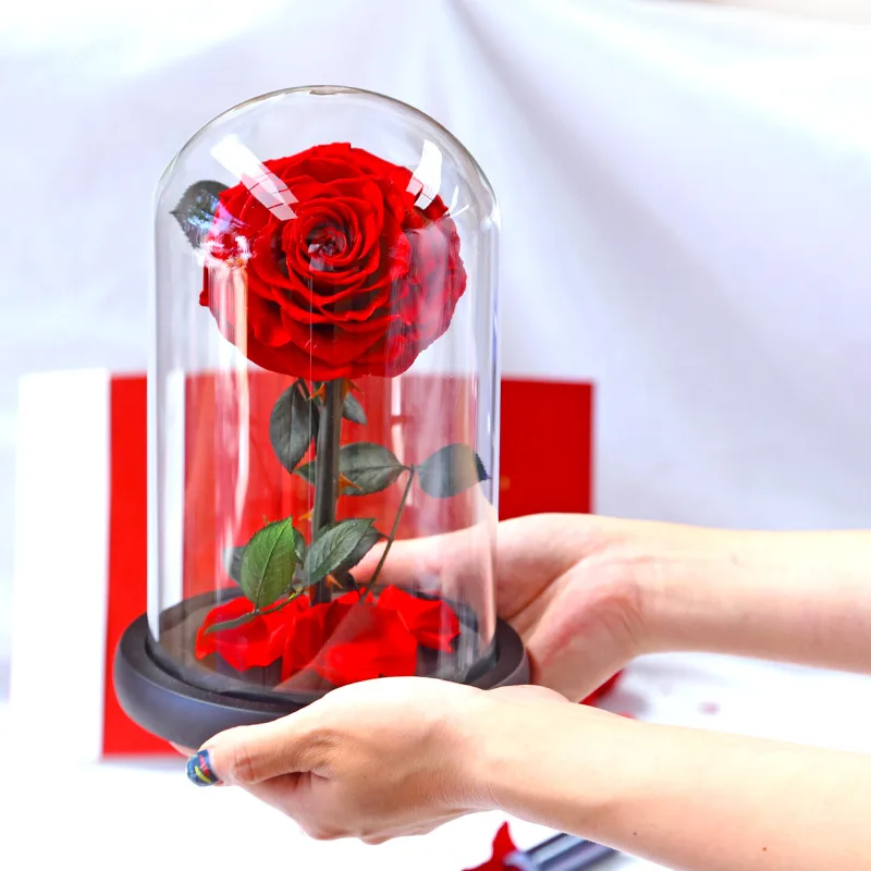 New Beauty And The Beast Roses Preserved Flowers Red Eternal Rose