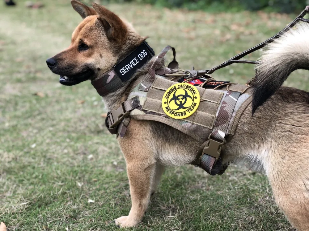 Dog Collar Nylon Adjustable Military Tactical Dog Collars Control Handle Training Pet Cat Dog Collar Pet Products