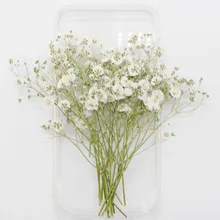 Натуральные сушеные цветы тиснение Botany образец Diy клей ручной оболочки Ароматерапия Свеча фоторамка активность материал наука