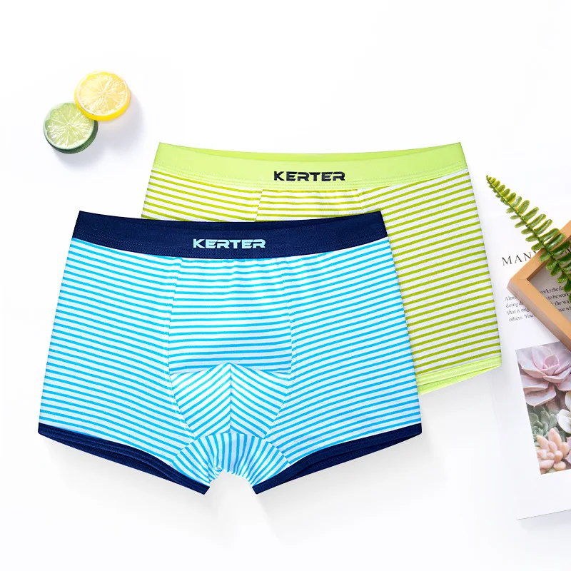 2pcs/lot Kids Boys Shorts Blue Striped Briefs Cotton Children Underwear Casual Teenage Panties Toddler Baby Underpants Clothes