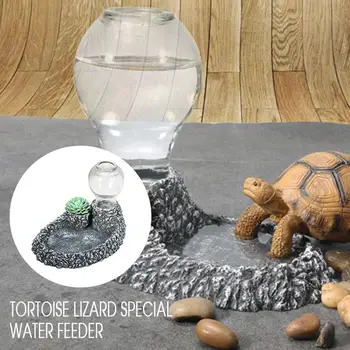 

Convenient Water Feeding Device Resin Tortoises Glass Bottle Durable Crawler Tortoise Autodrinker Practical Water Dispenser