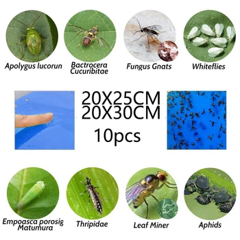 

10Pcs Sticky Fly Trap Paper Wires Blue Traps Non-toxic Harmless Fruit Flies Insect Glue Catcher 20*25CM/20*30CM