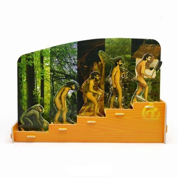 

Diy Jigsaw Blocks Kindergarten Make Science Model of Human Evolution-biological Science Experiment Toy Learning Toy for Children