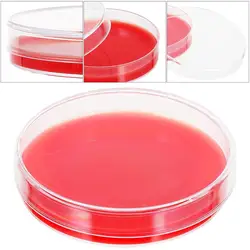 Plaques d'agar dans le sang, équipement pour déterminer le milieu biologique, 10 pièces 