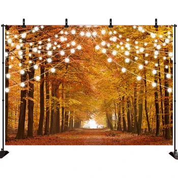 

Fall Autumn Backdrop Photography Jungle Forest Photo Vinyl Background Photoshoot Studio