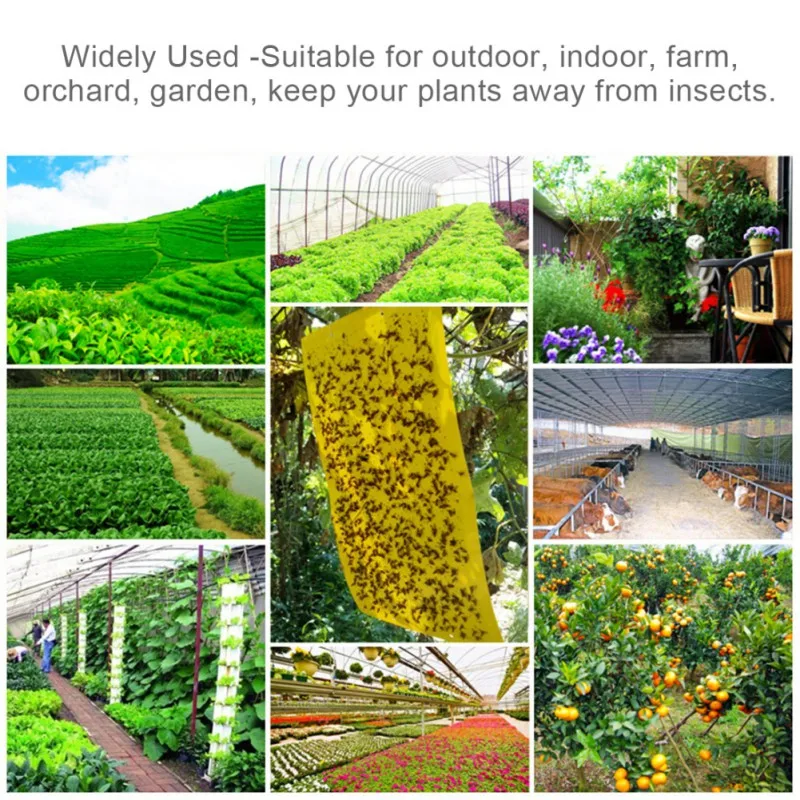 5/10/20 Вт 30 50 шт. Двусторонняя Желтые Липкие Ловушки для воздушных змеев завод