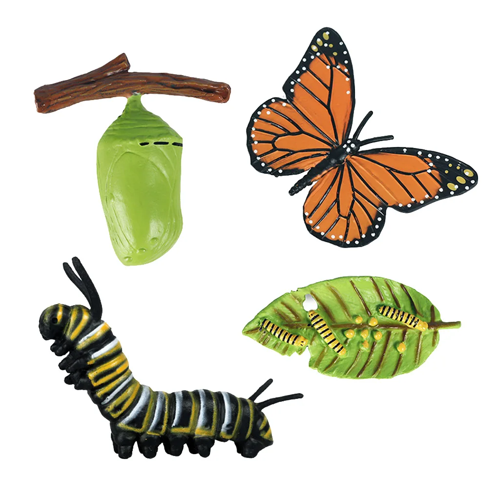 Plastic Insect Growth Stage Lifelike Butterfly Life Cycle Model Play Set for Children Education Insect Themed Party Favors
