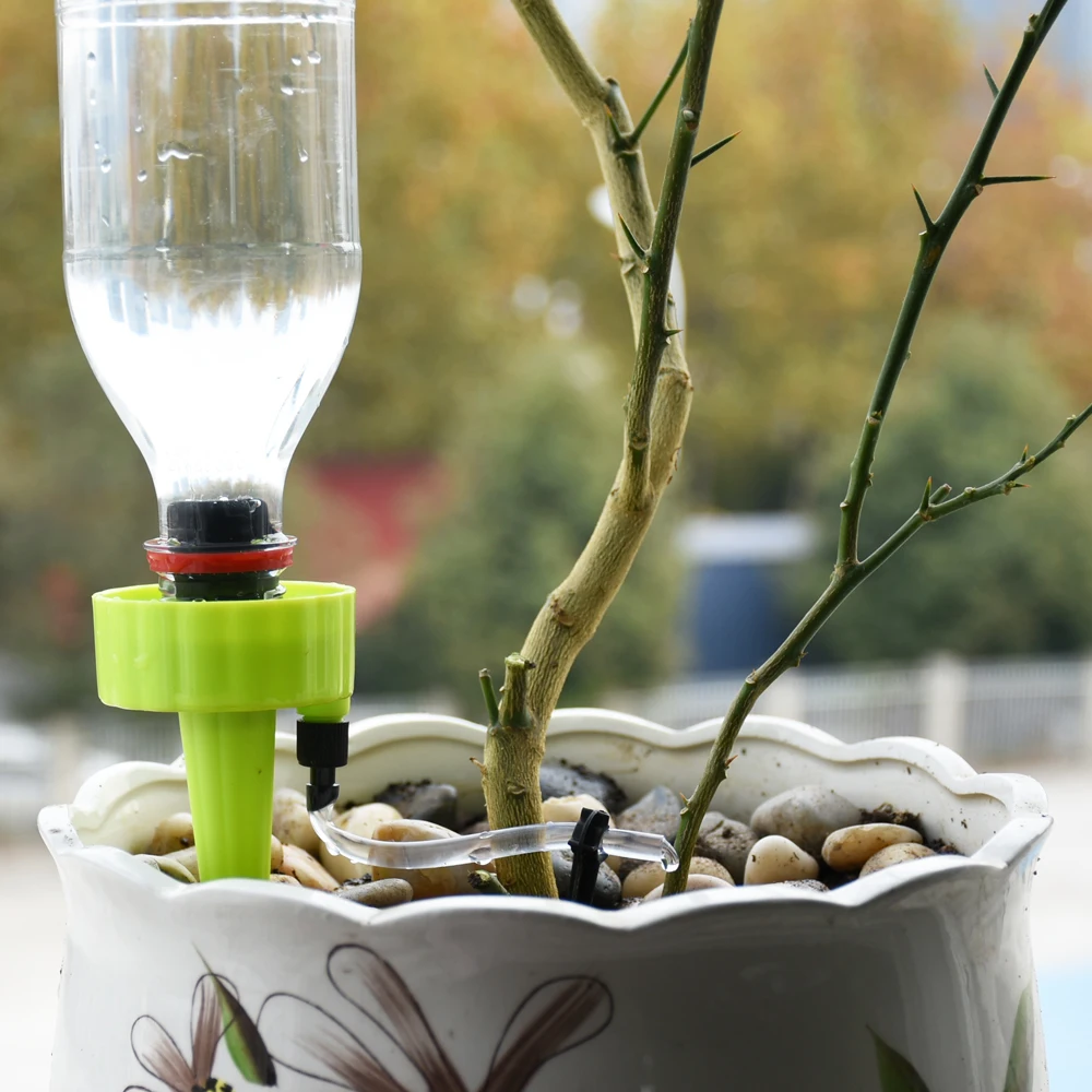 508279-580be9.jpg