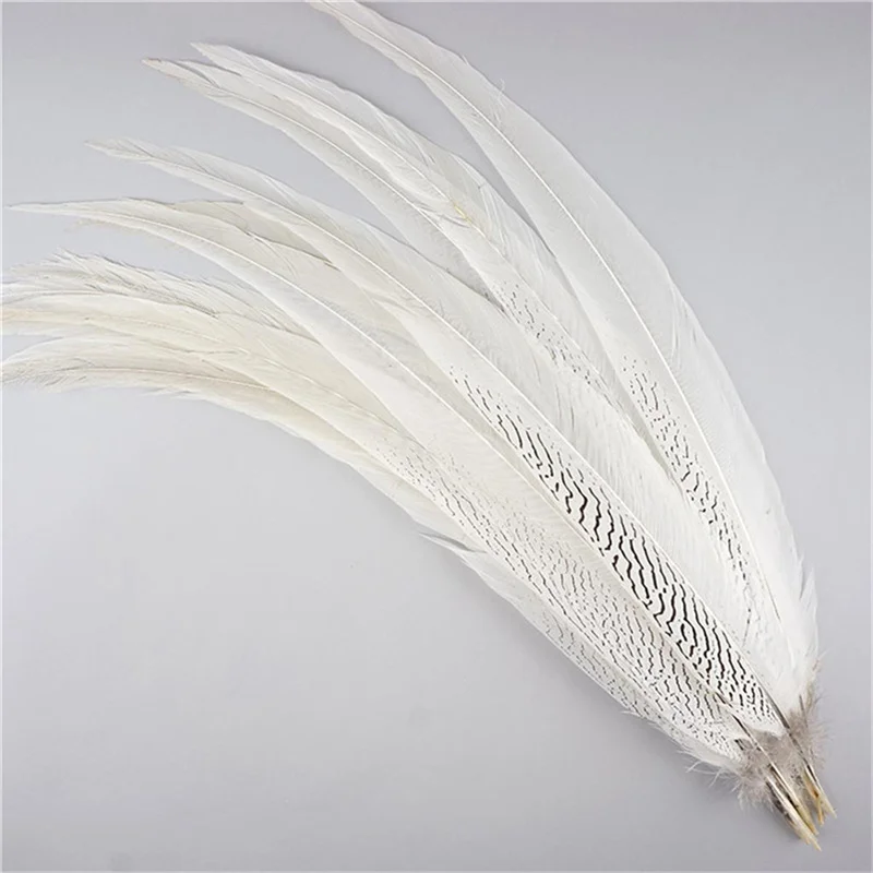 Pheasant Tail Feathers for Crafts Natural Silver Pheasant Feather Carnaval Wedding Feathers needlework accessories Decoration