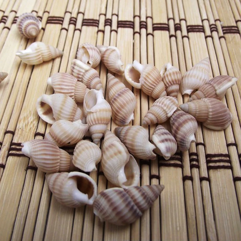 RL0436C (2)