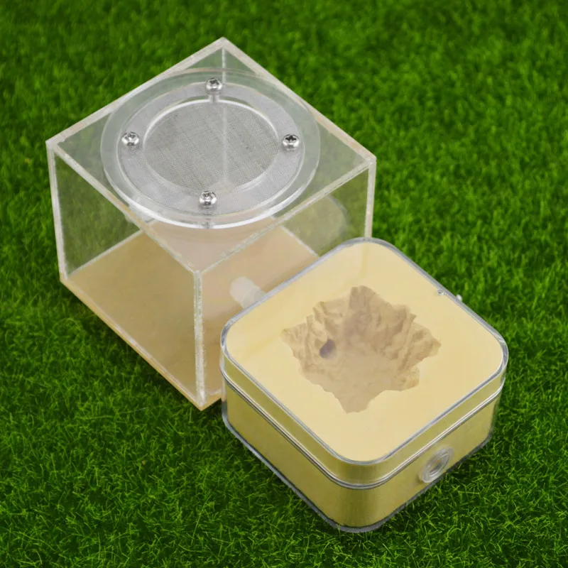 Plaster Ant Nest Acrylic Ant Farm Ants Queen House Insect Cage Anthills Pet Ant House Granja De Hormigas Hormiguero (2)