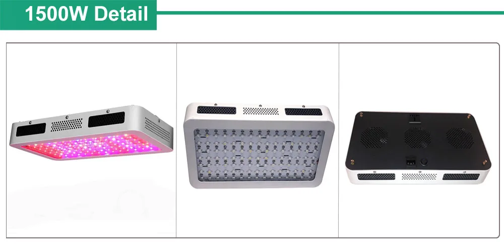 1500W DETAILS 01