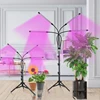 LED Grow light Full Spectrum 9W 18W 27W 36W 5V USB With Bracket For Indoor Plant Flower Seedling VEG Tent Phyto Lamp Fitolampy ► Photo 3/6