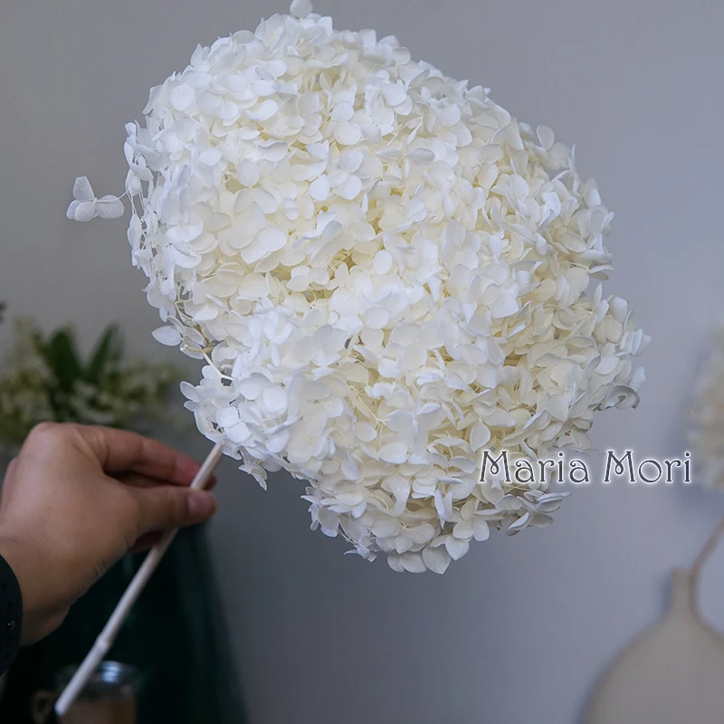 Preserved Hydrangea  Office Decor Preserved Flowers Home Decoration Anna Hydrangea Wedding Decoration