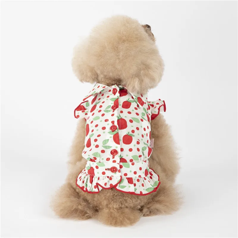 puppy dog shirt summer small dog (11)