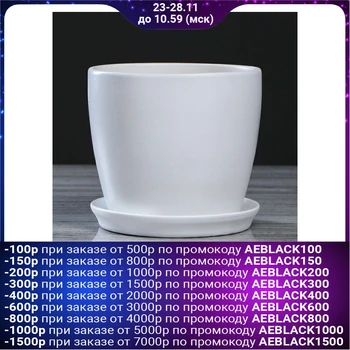 

Flowerpot "Autumn", gloss, white, 2 L 1968859