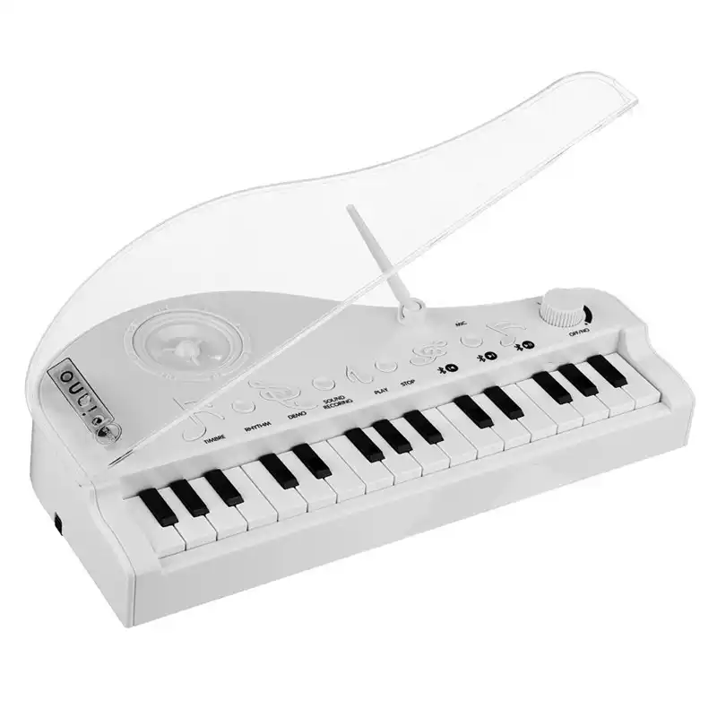 zebra piano toy