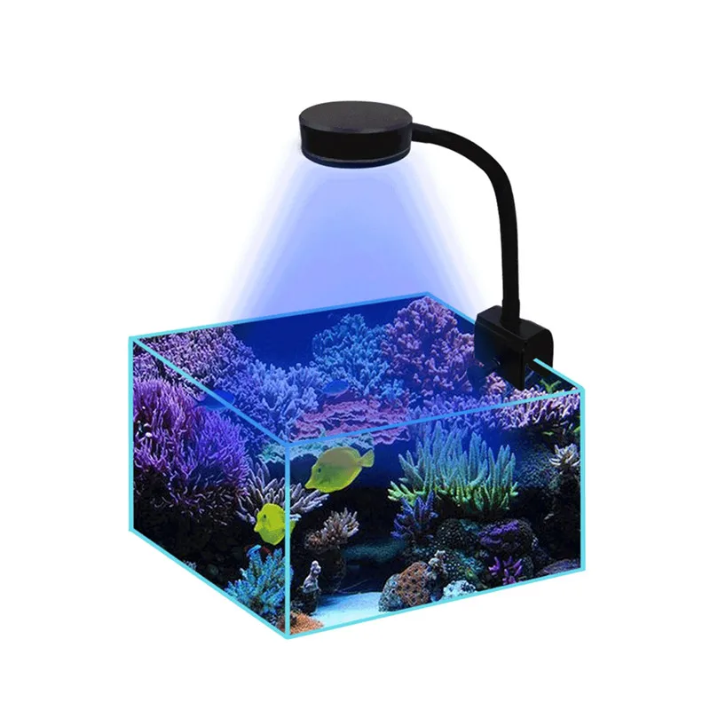 Octrooi Buskruit Grote hoeveelheid Nano Aquarium Tank Marine Aquarium Lighting | Led Lighting Aquarium Sea  Water - Lightings - Aliexpress